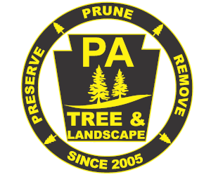PA Tree & Landscaping